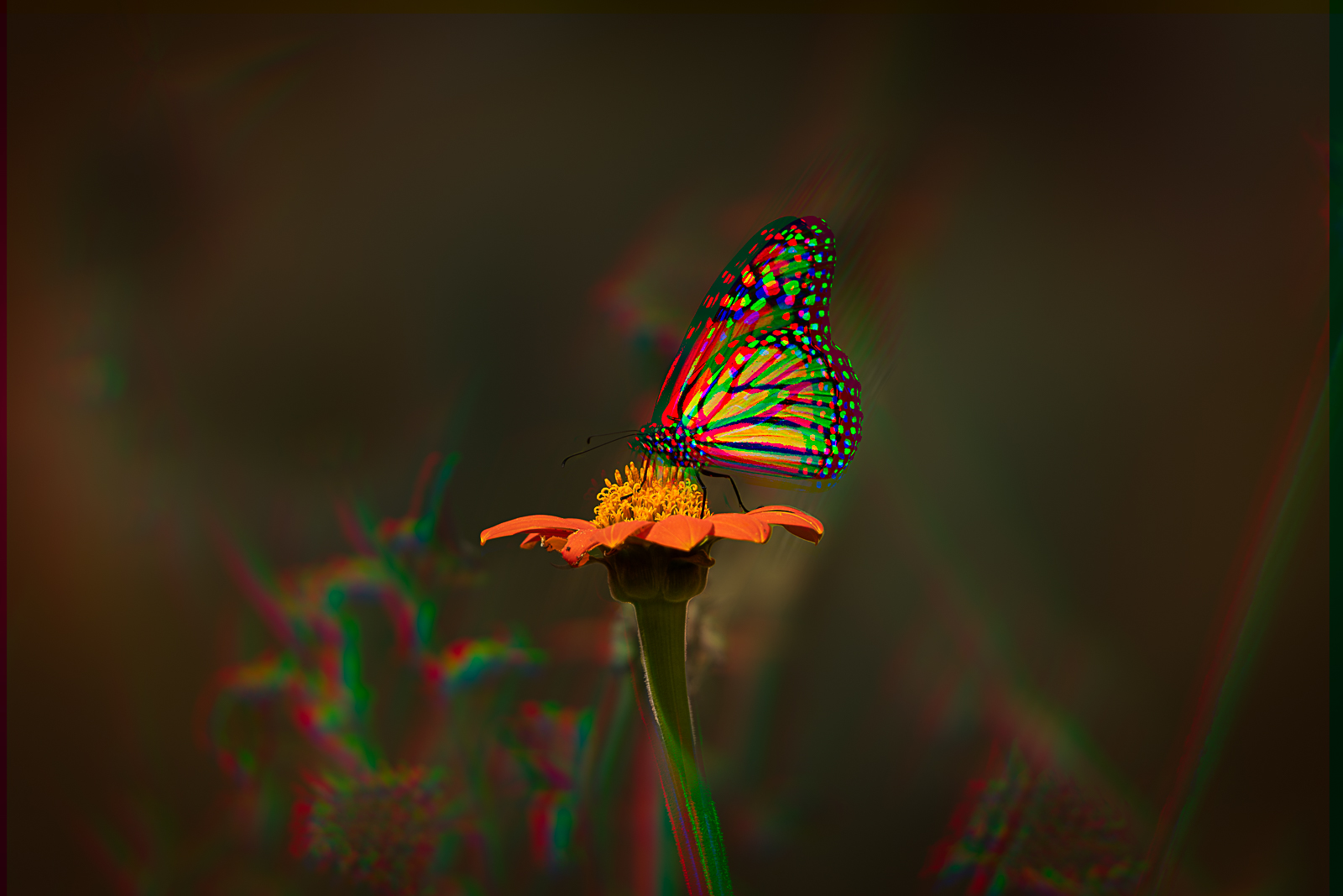 6O5A2340-Edit-Edit.JPG