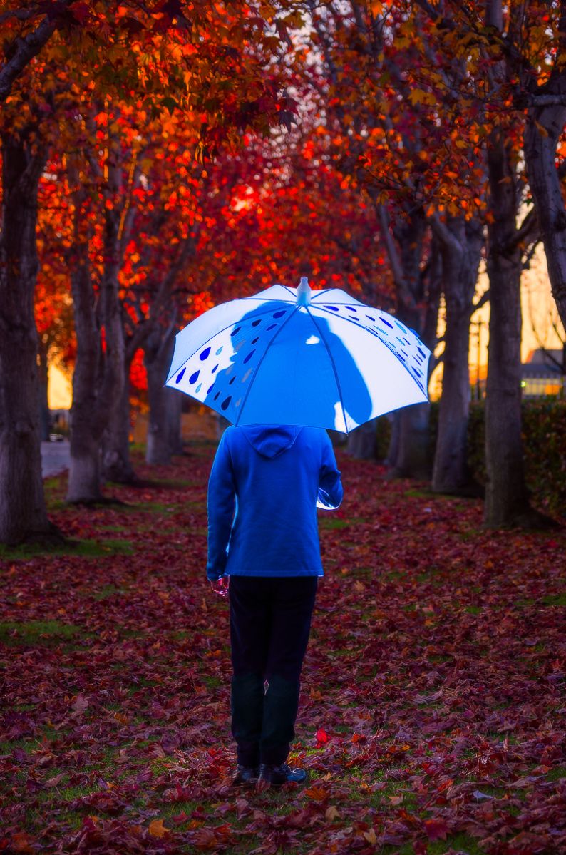 blue umbrella.jpg