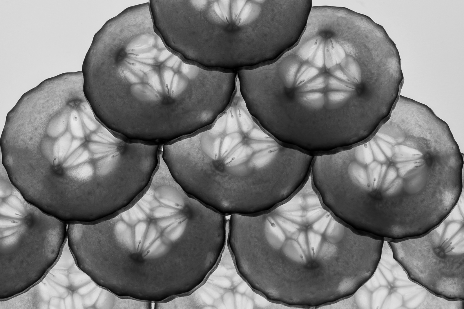 Cucumber Slices 2 - small.jpg