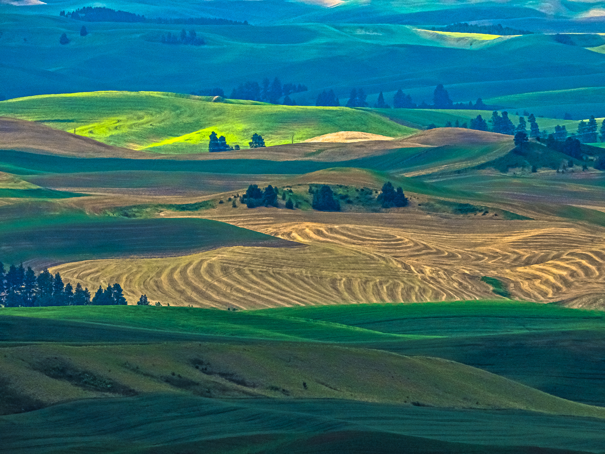 DSCN5385-2.jpg