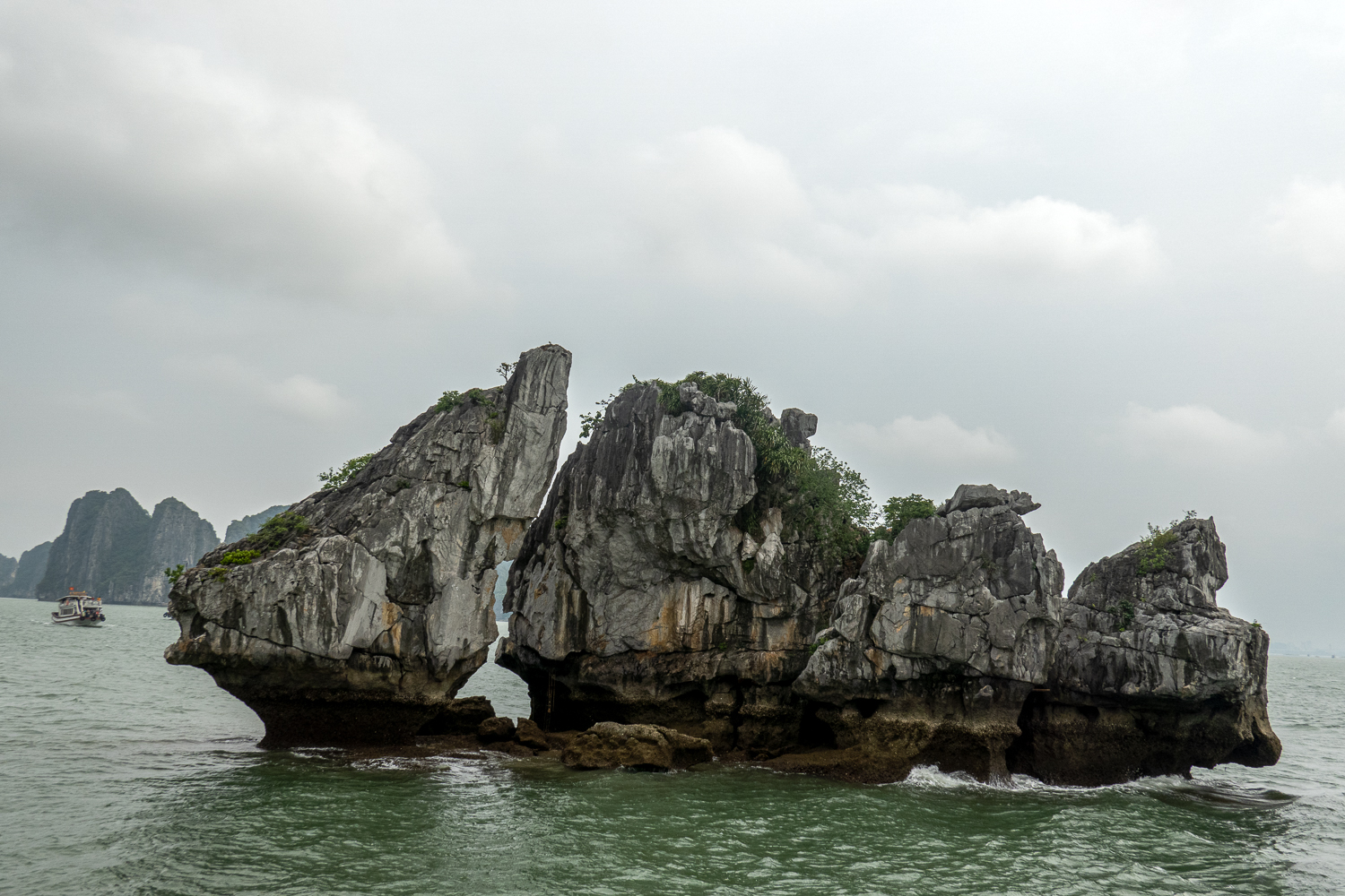 _DSC4734-편집.jpg