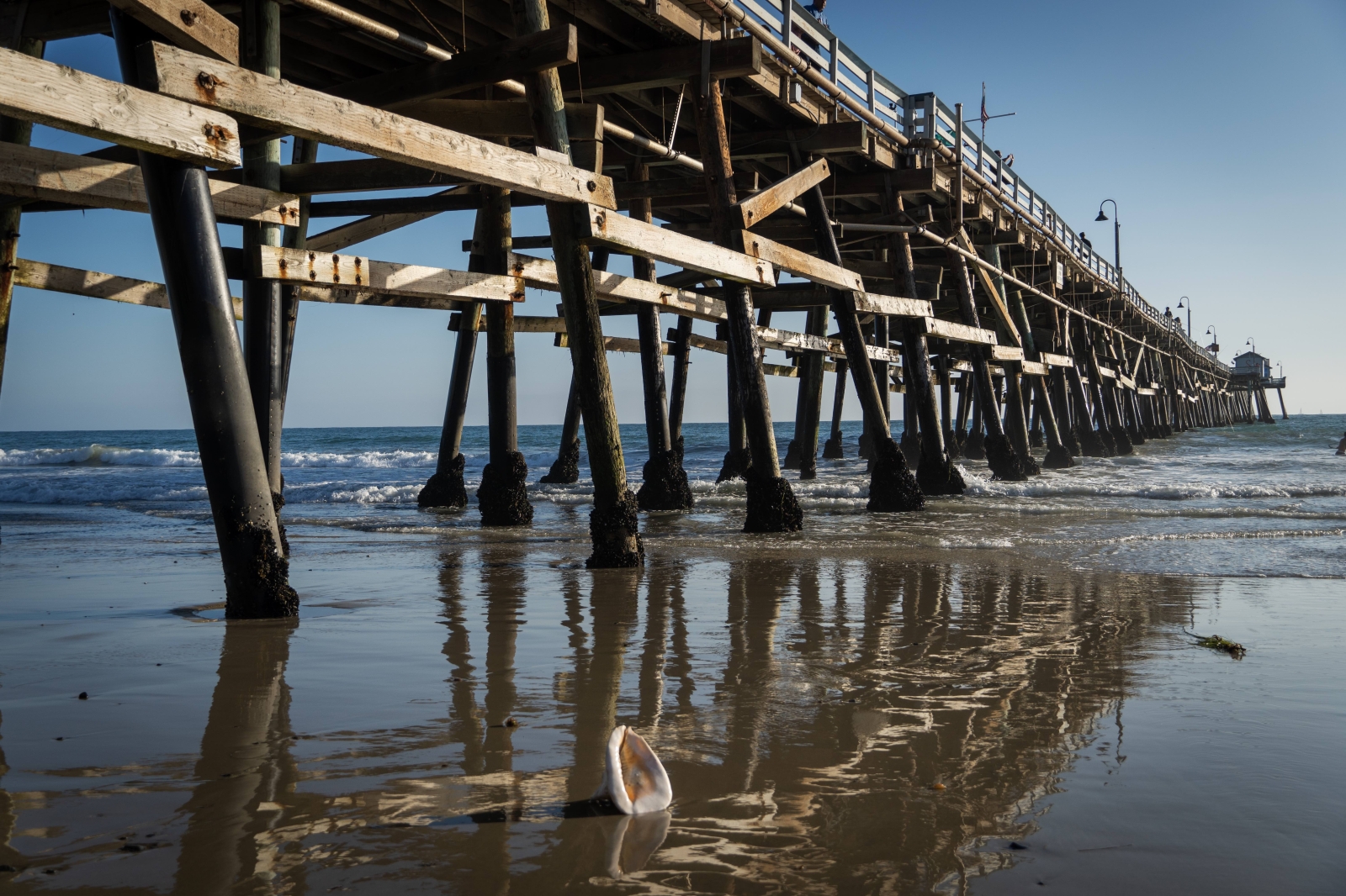 San Clamente Pier with Shell - small.jpg