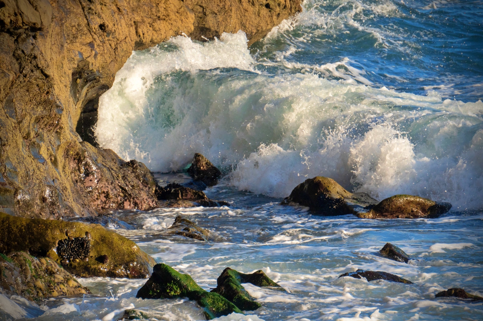 Crashing Waves - Fisherman's Cove - PhotoScape - small.jpg