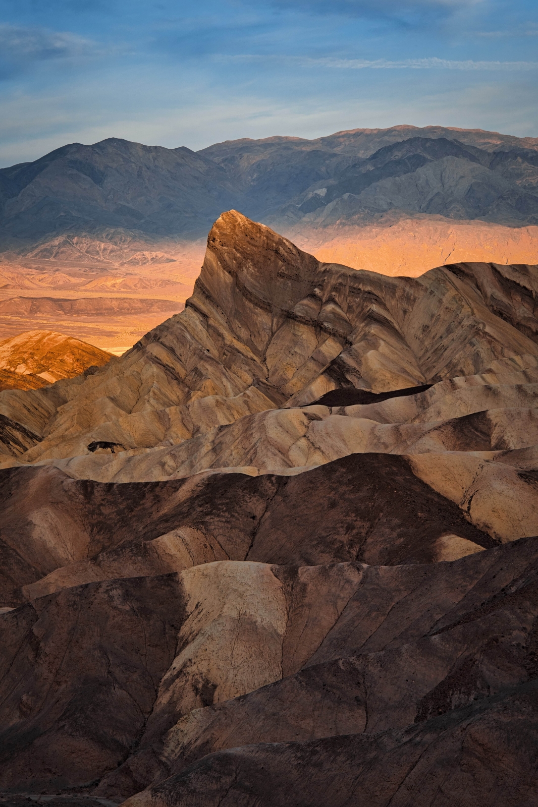 Morning Colors - smaller.jpg