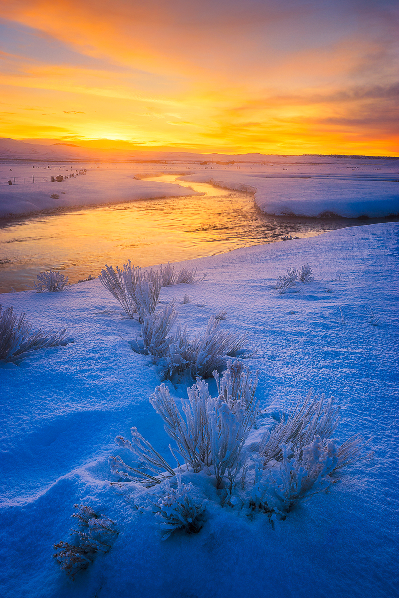 snowy sunset.jpg