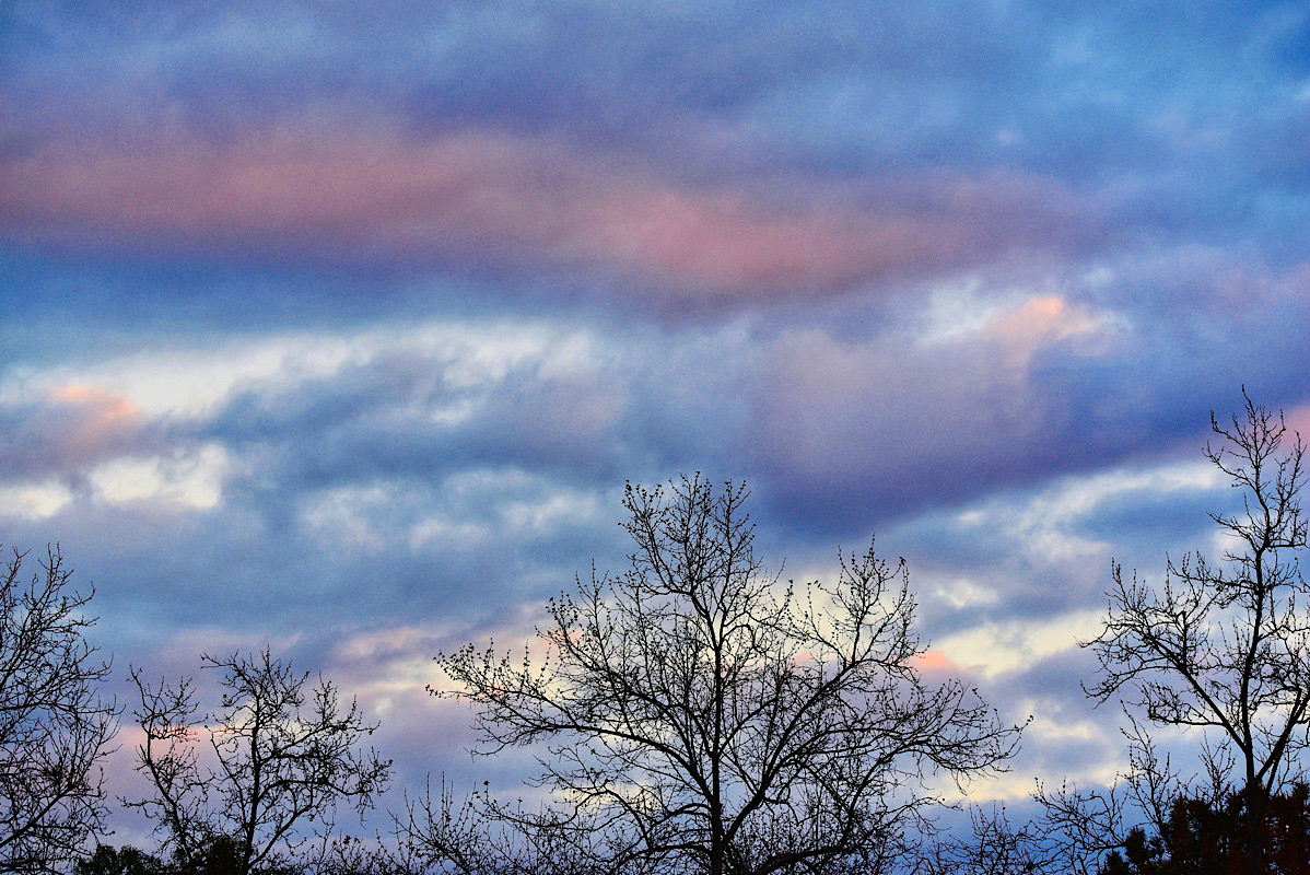 IMG_2024-02-29-201449.jpg