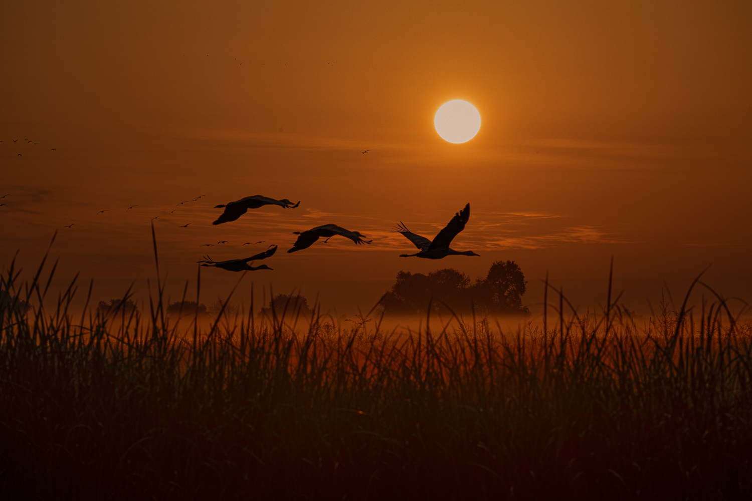EOS 5D Mark IV_021685-편집.jpg