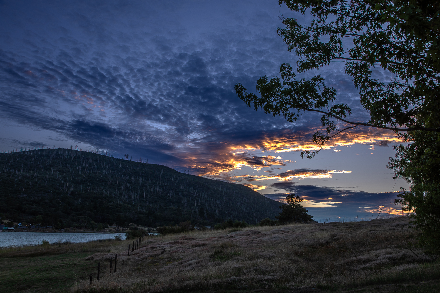EOS 5D Mark IV_021179.jpg