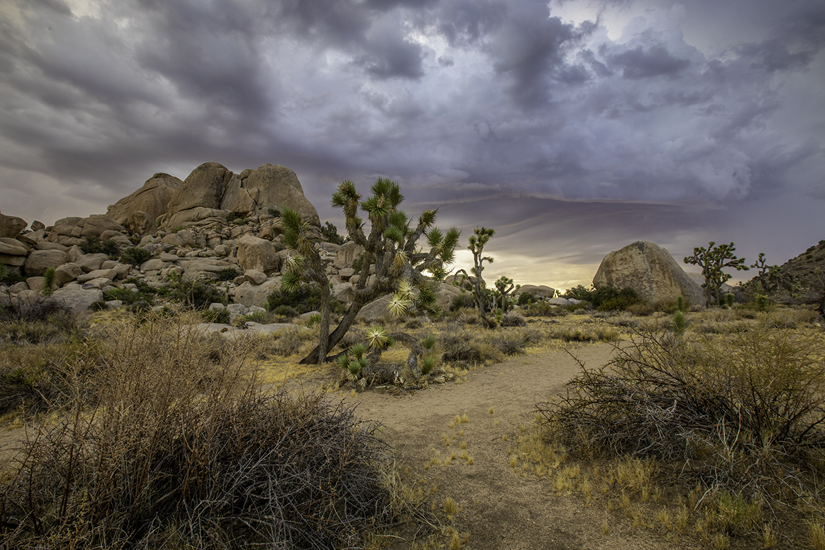 CD2A4158-HDR-s.jpg