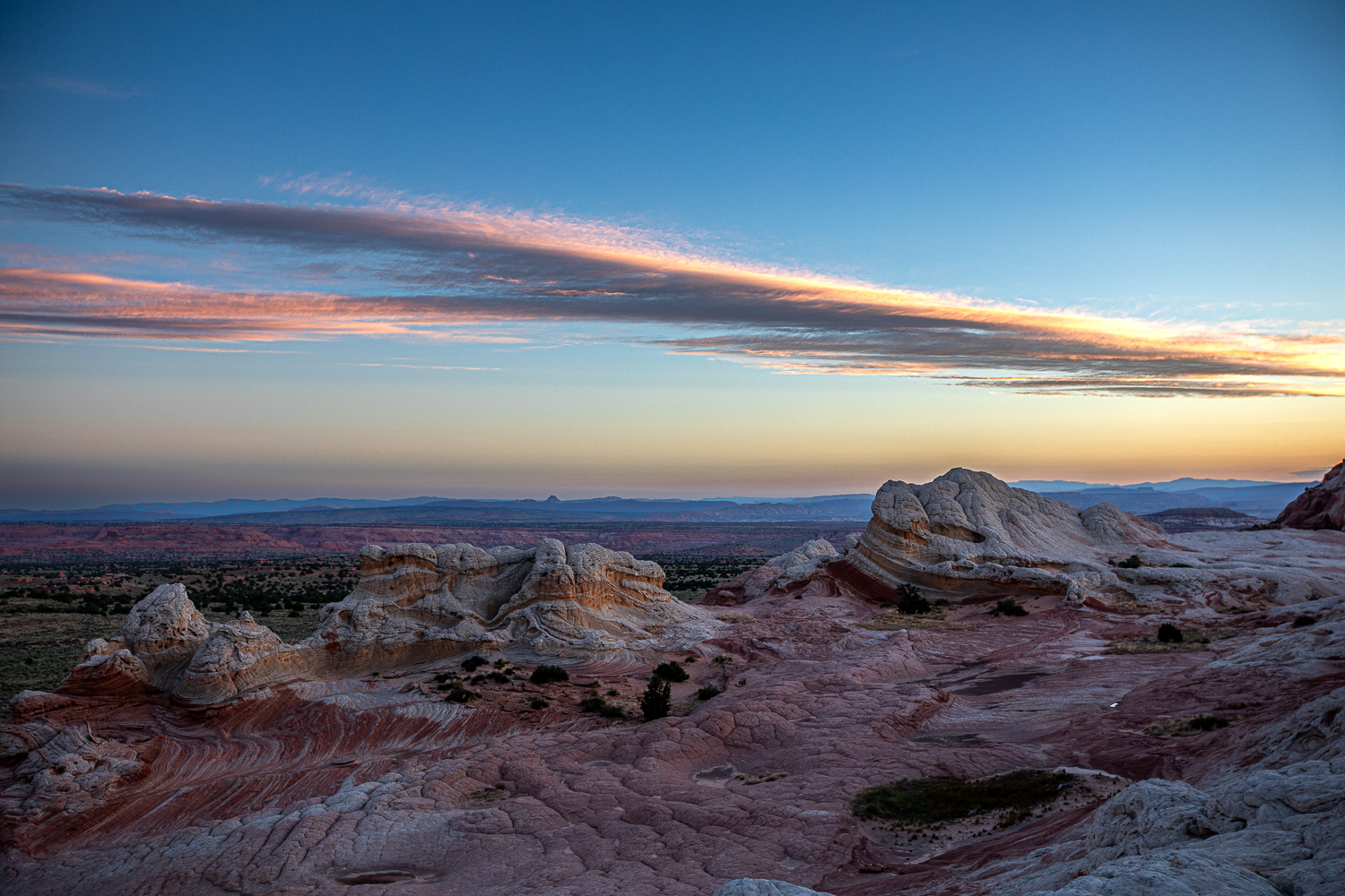EOS 5D Mark IV_020919.jpg