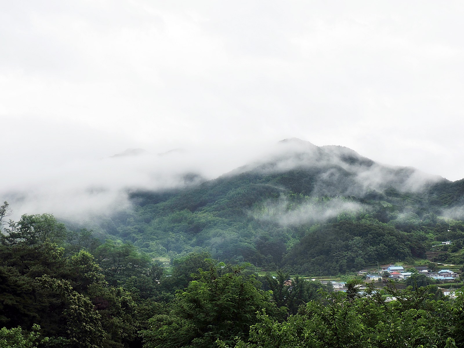DSCN2502.JPG
