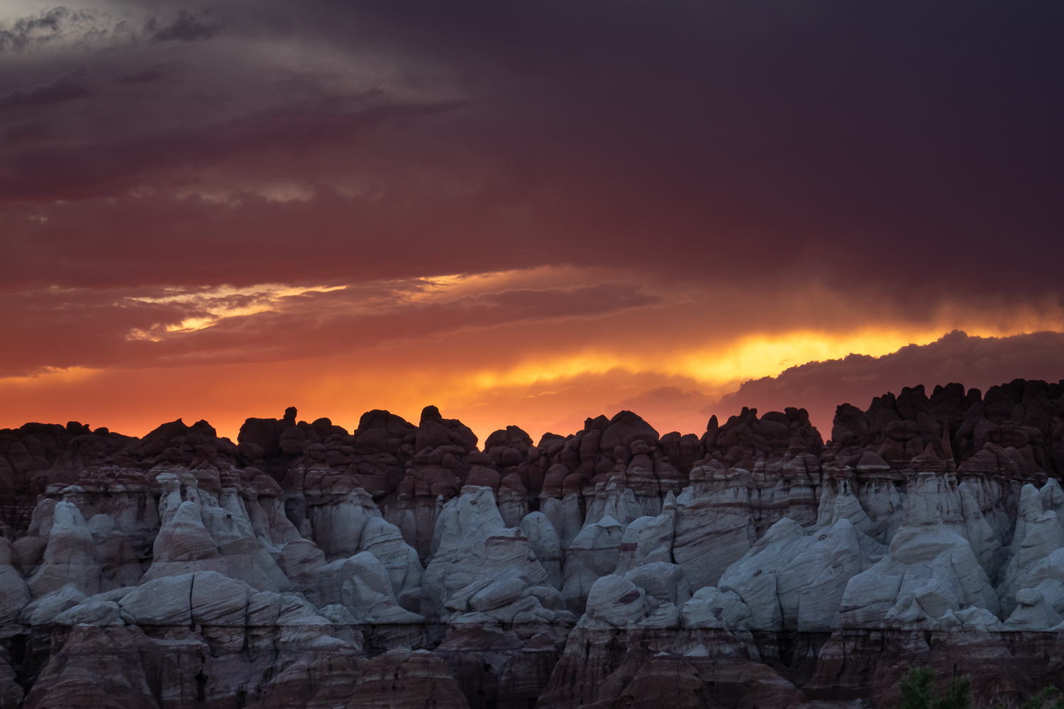_DSC3785.jpg
