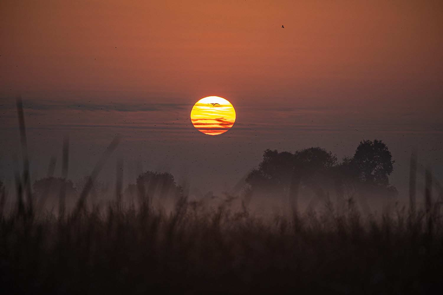 EOS 5D Mark IV_021638.jpg