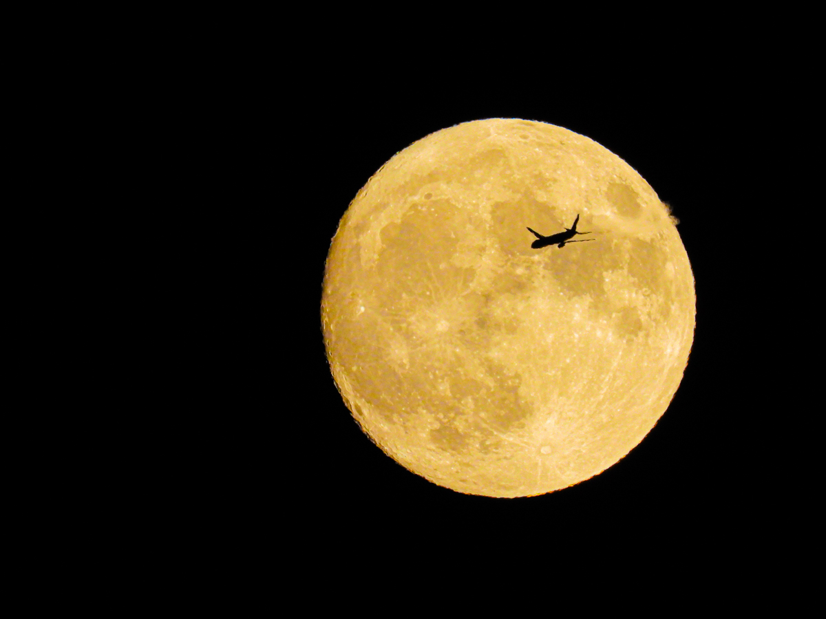DSCN7922-2.jpg
