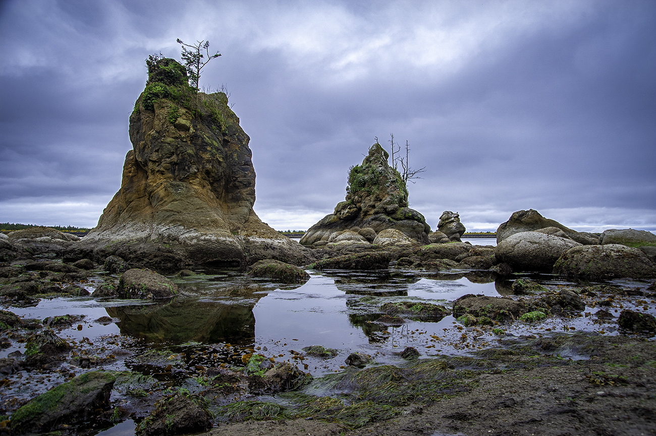 _DSC1354-1-1.jpg