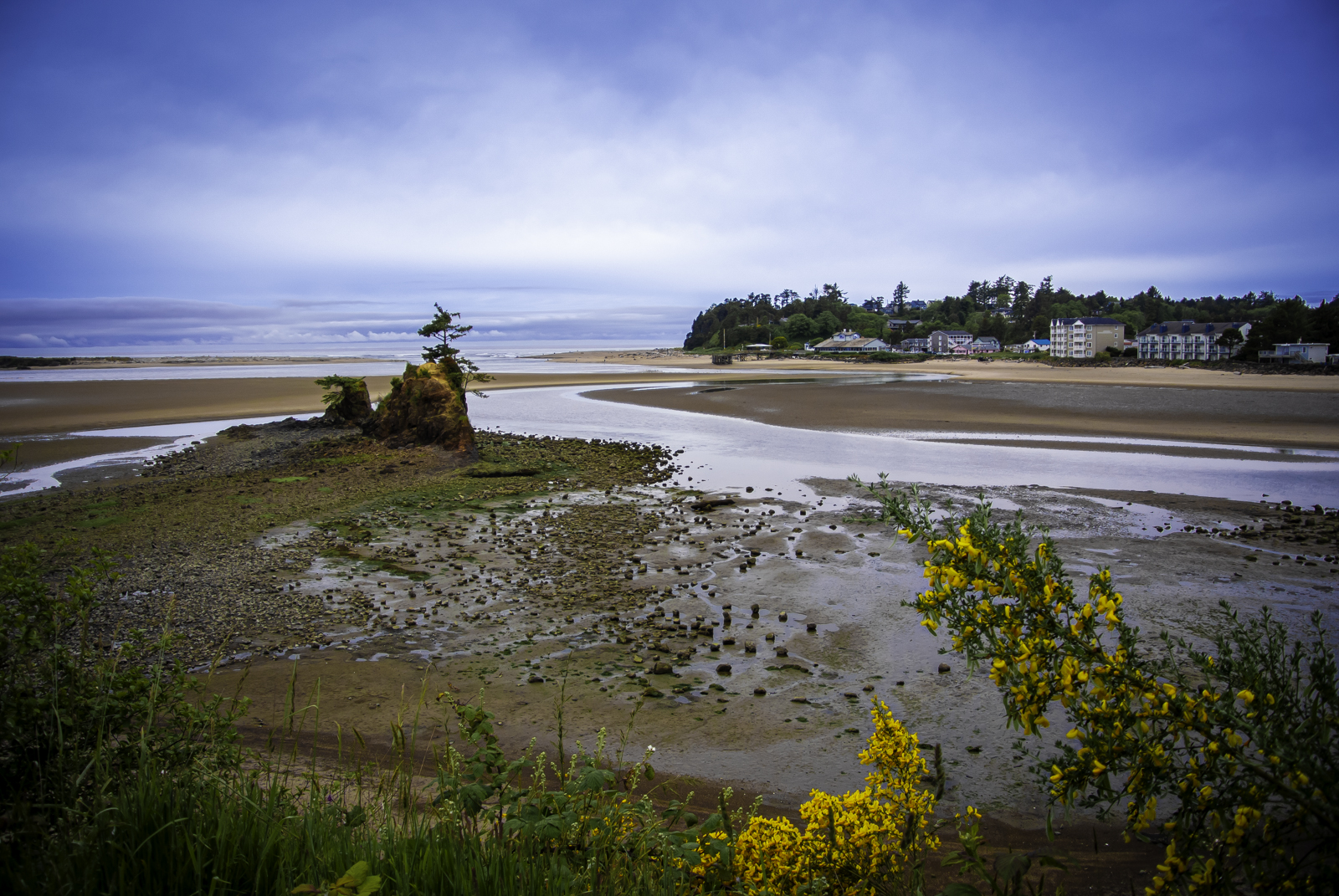 DSC_3569-2.jpg