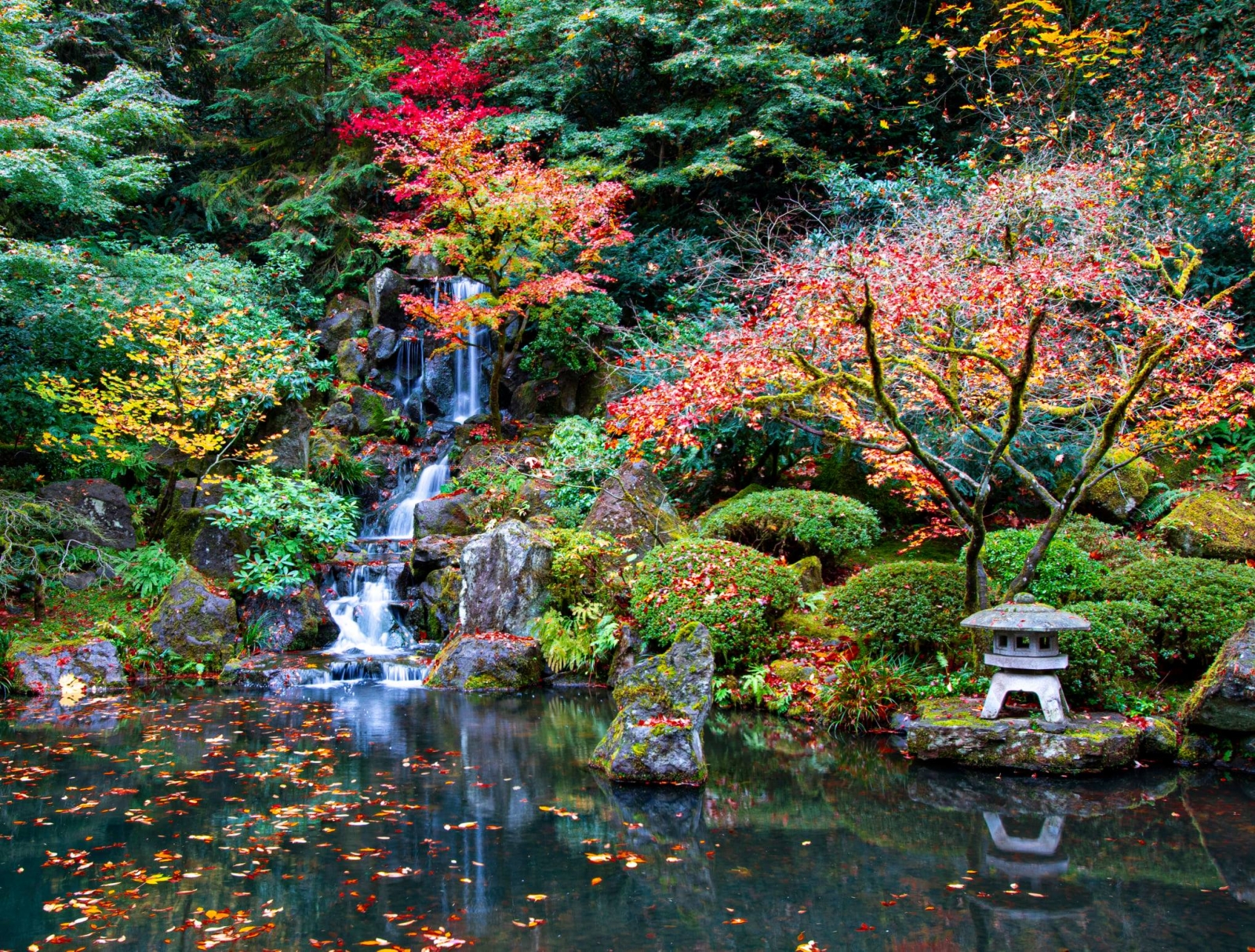 color ofthefall6.jpg