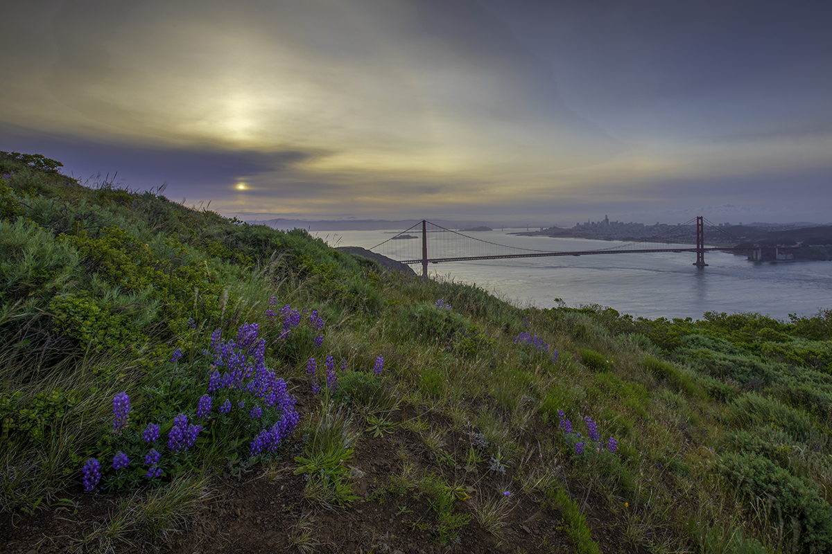 CD2A3208-HDR-Edit s.jpg