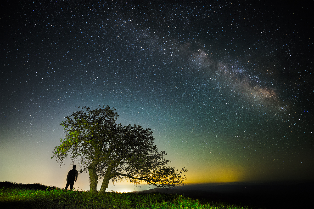 lone tree night sky (1 of 1).jpg