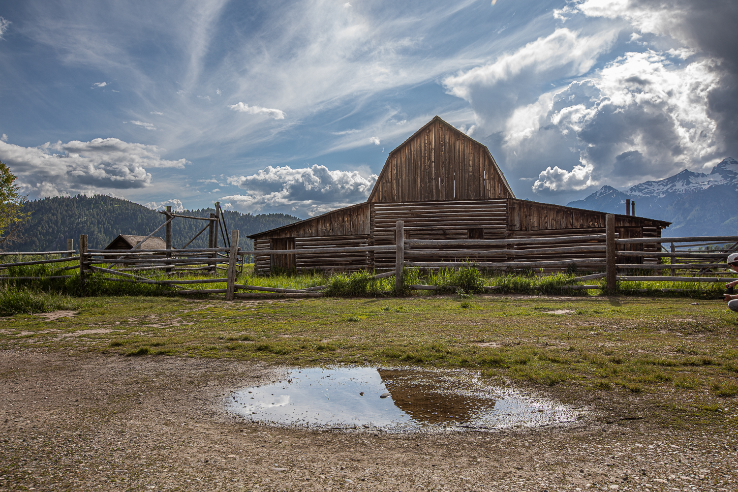 EOS 5D Mark IV_020419.jpg