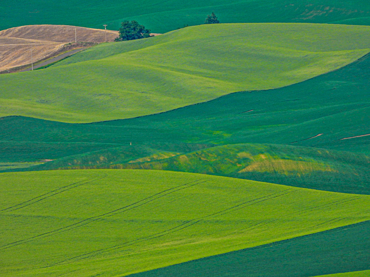 DSCN6719-2.jpg