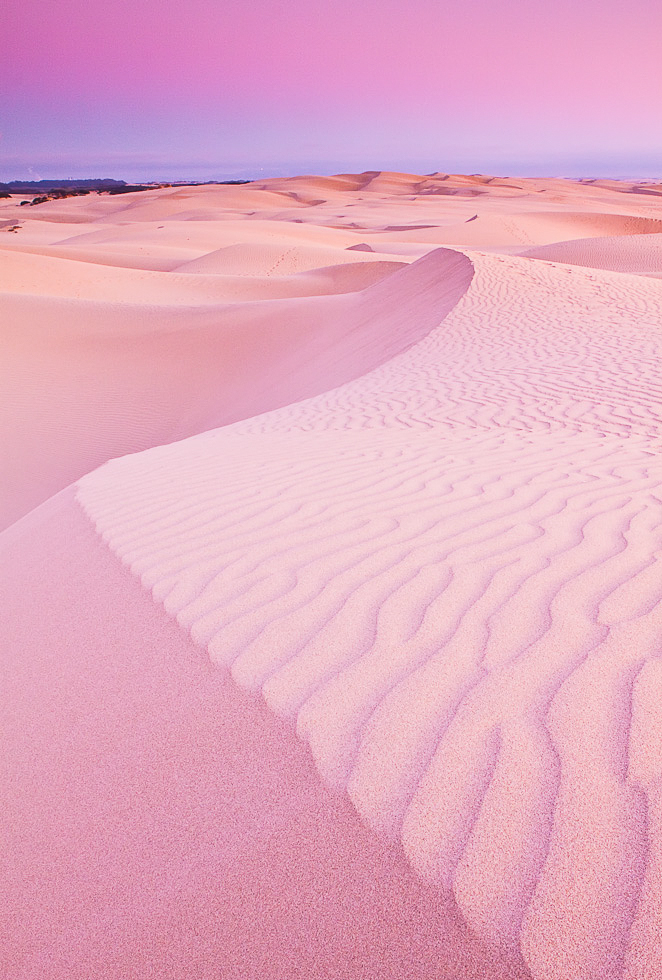 pink dune.jpg