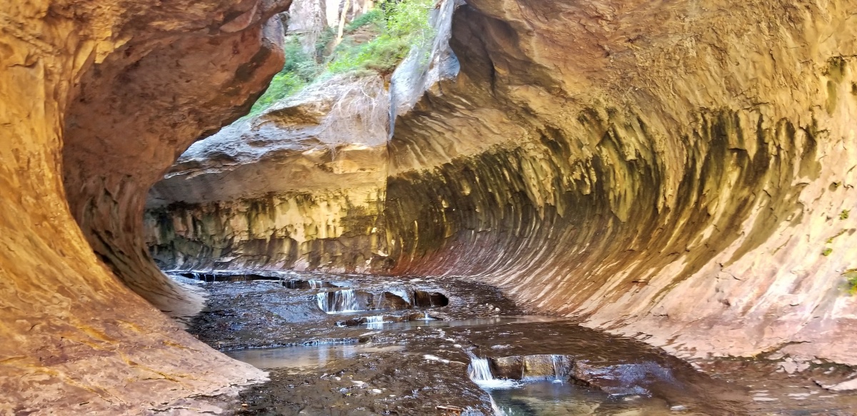 20180920_131730[1].jpg