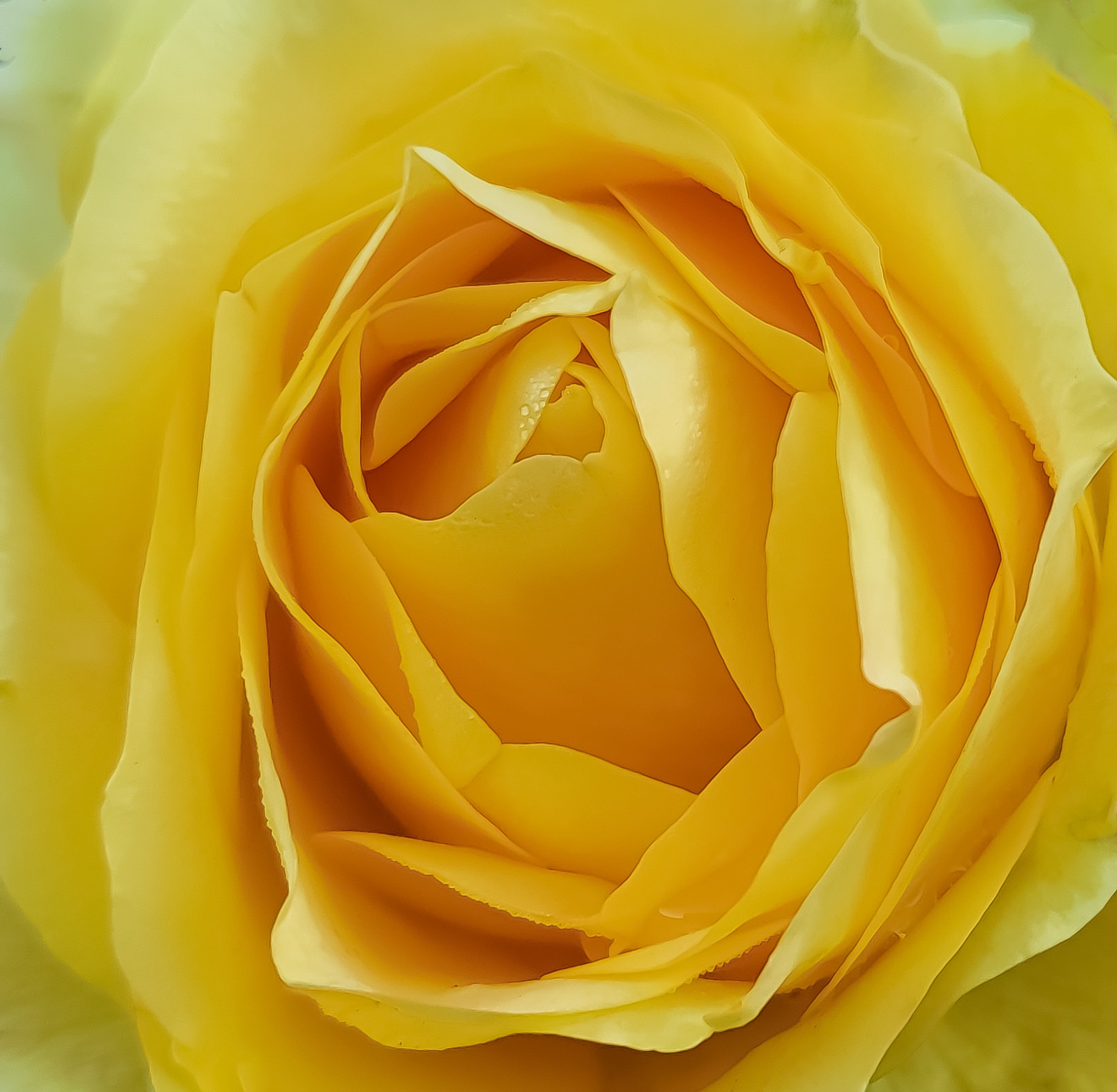 20221207_153422-1.jpg
