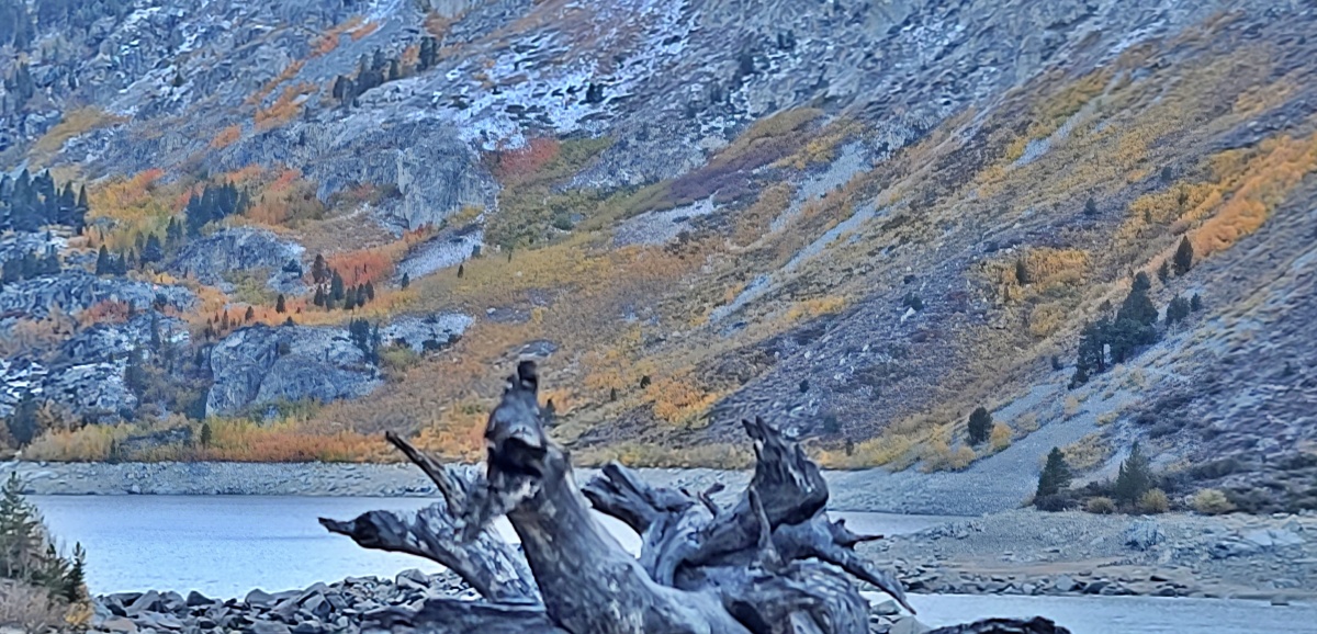 20211008_175357.jpg