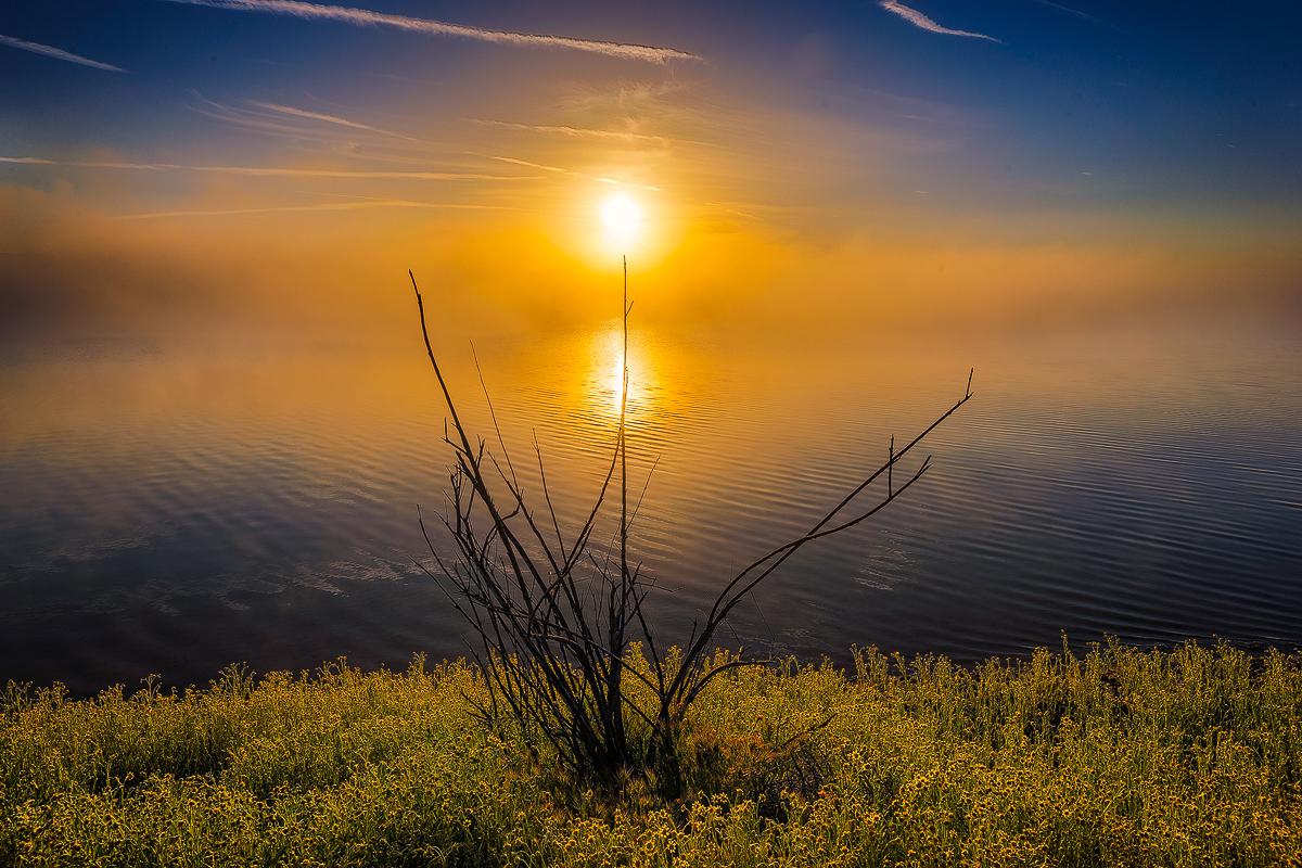 soda lake sunrise_.jpg
