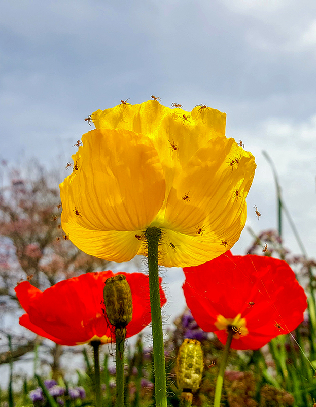 20180405_131731-1-1.jpg