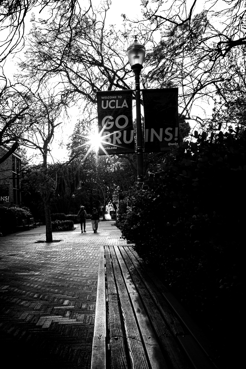 C2_03731-1.jpg