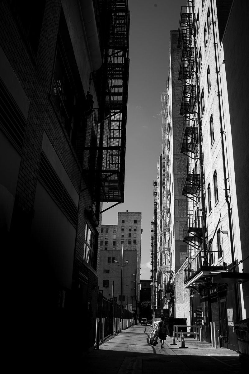 C2_03360-1.jpg