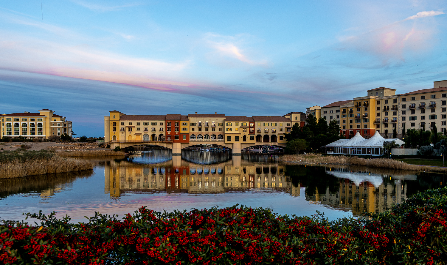 EOS R5m2_038006.jpg