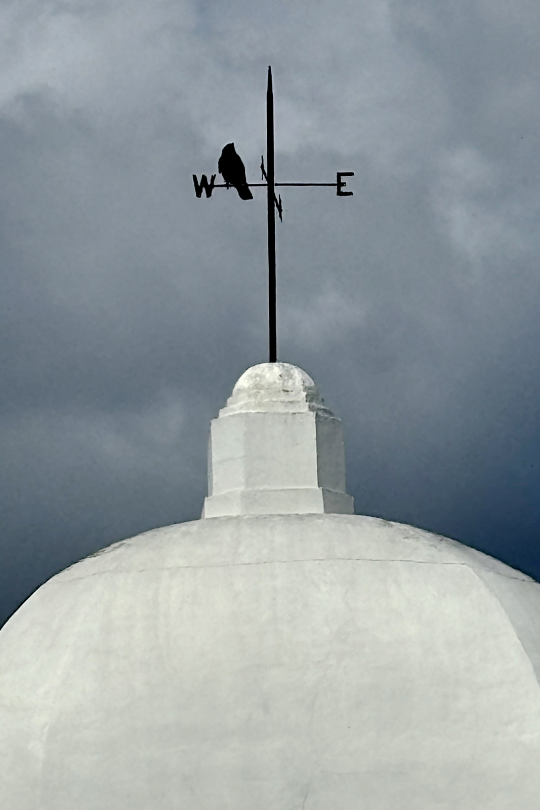 IMG_0516 level curve&crop.jpg