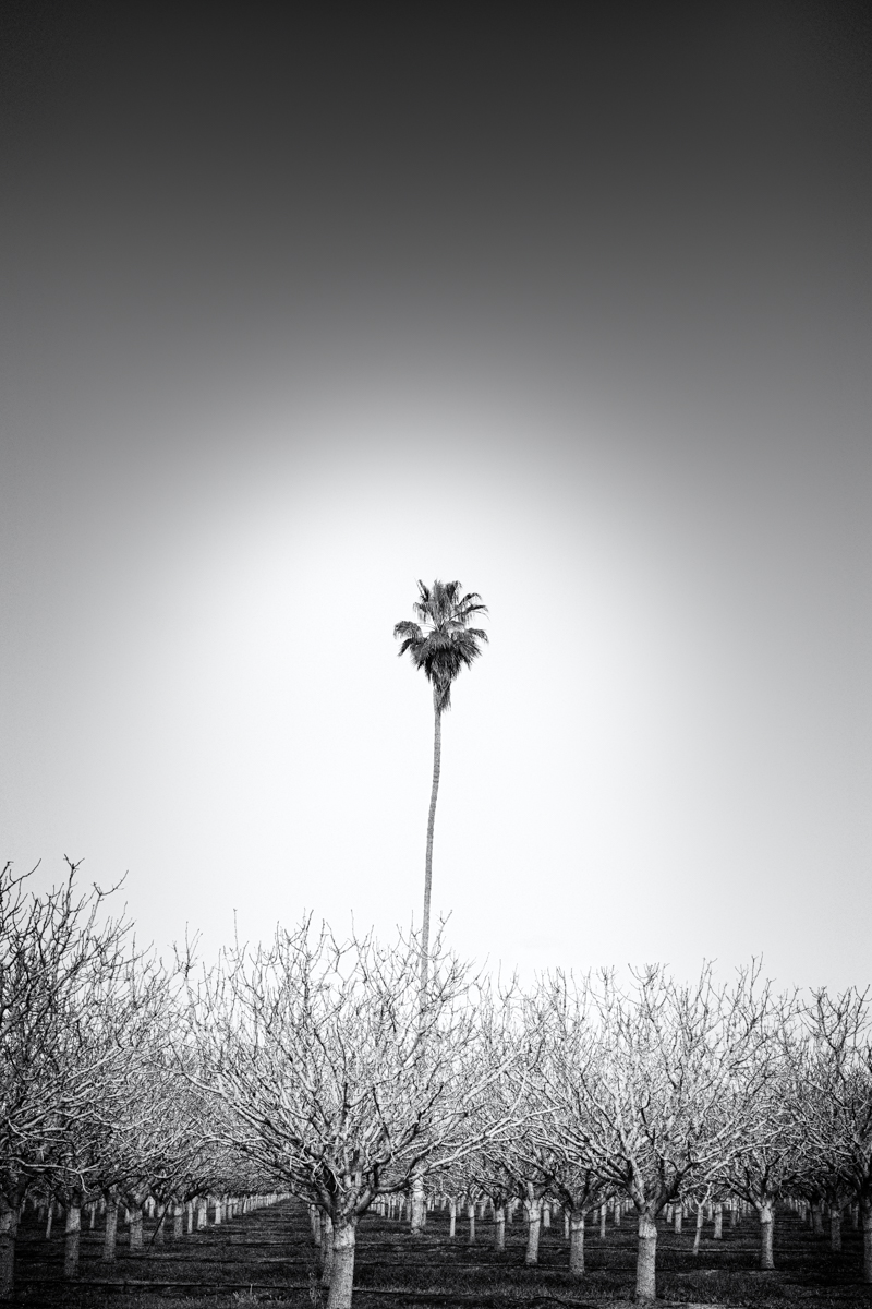6O5A5020-Enhanced-NR-Edit-Edit.jpg