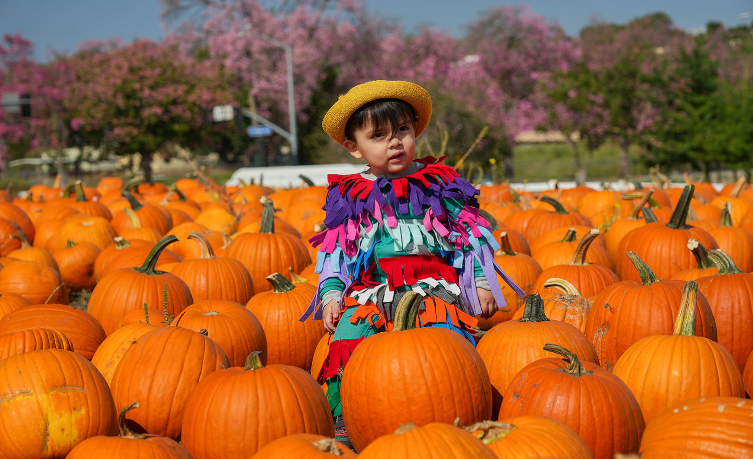 A7400396-a.jpg