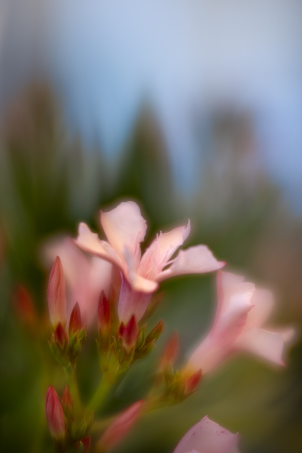 DSC02321-Edit.jpg