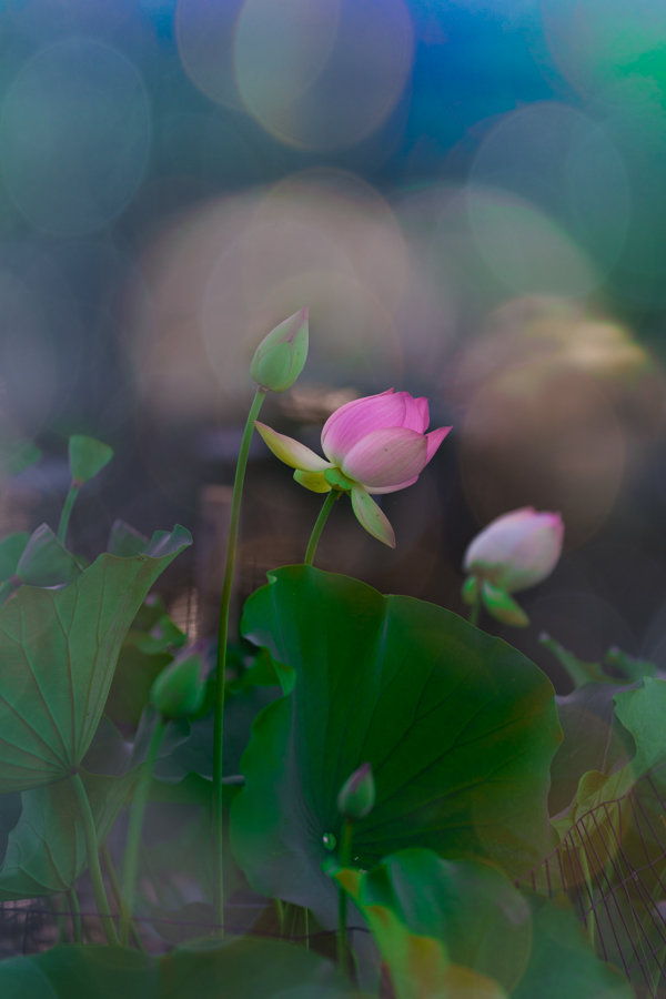 DSC04837-Edit-Edit.jpg