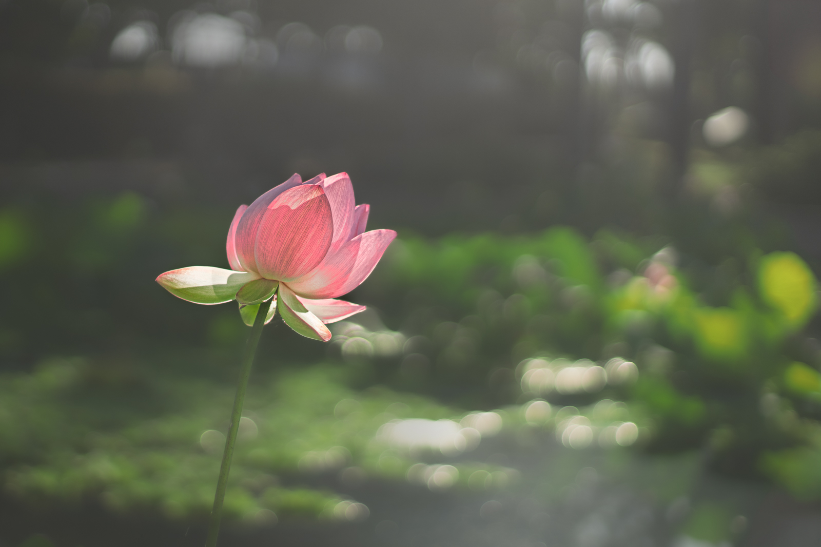 DSC04918-Edit-Edit.jpg