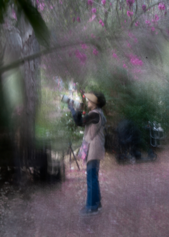 DSC07345-Edit.jpg