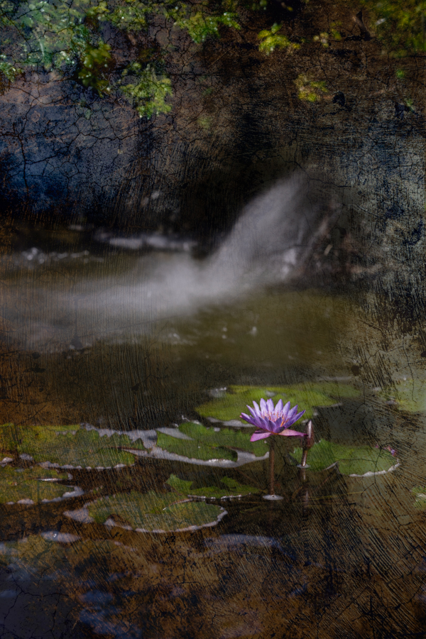 DSC06373-Edit.jpg