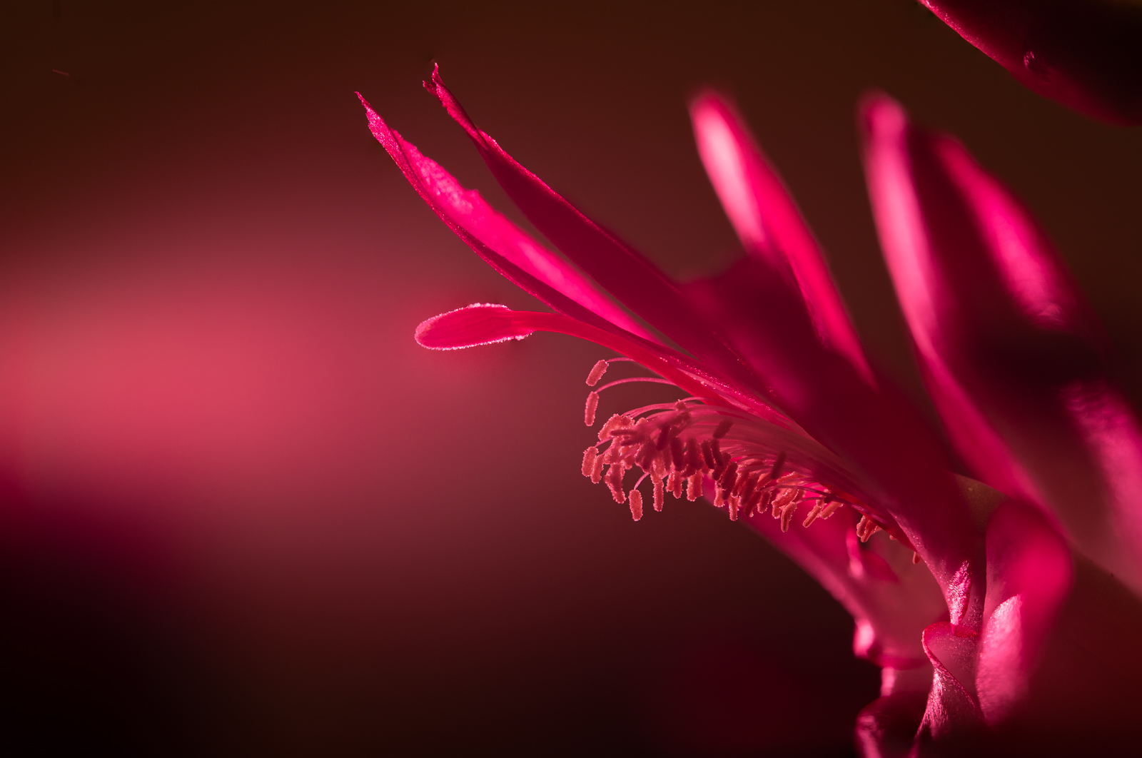 DSC03694-Edit2-Edit.jpg