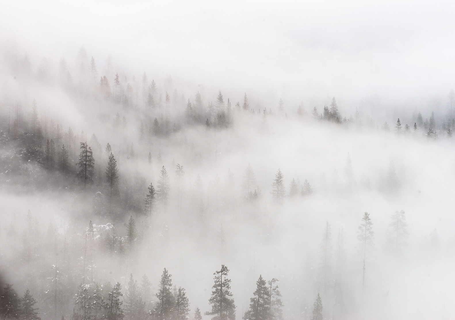 mist (1 of 1).jpg