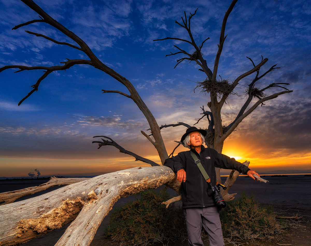 dead tree 2.jpg