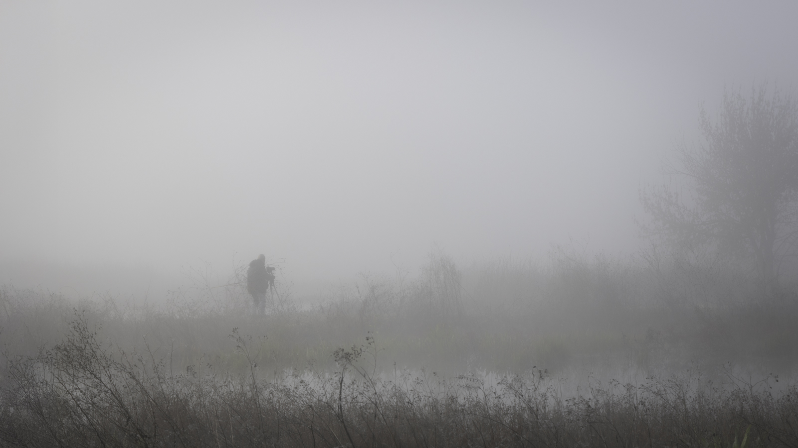 6O5A9616-Edit.jpg