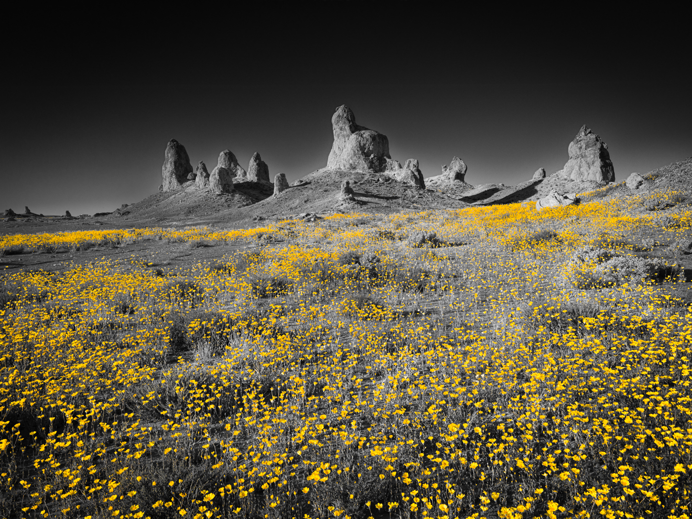 DJI_0432-Enhanced-SR-Edit-Edit.jpg