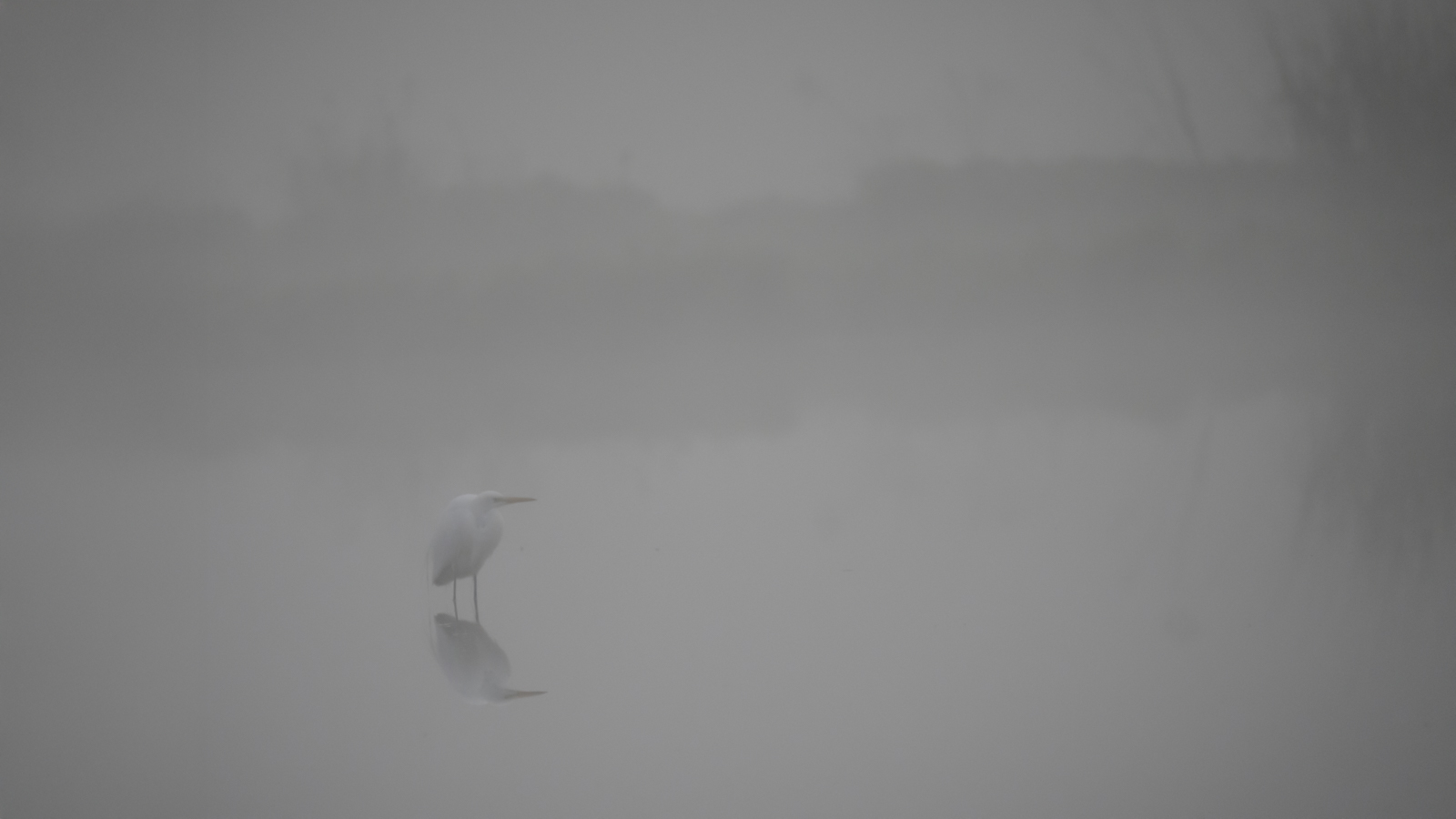 S7503592-Edit-Edit.jpg