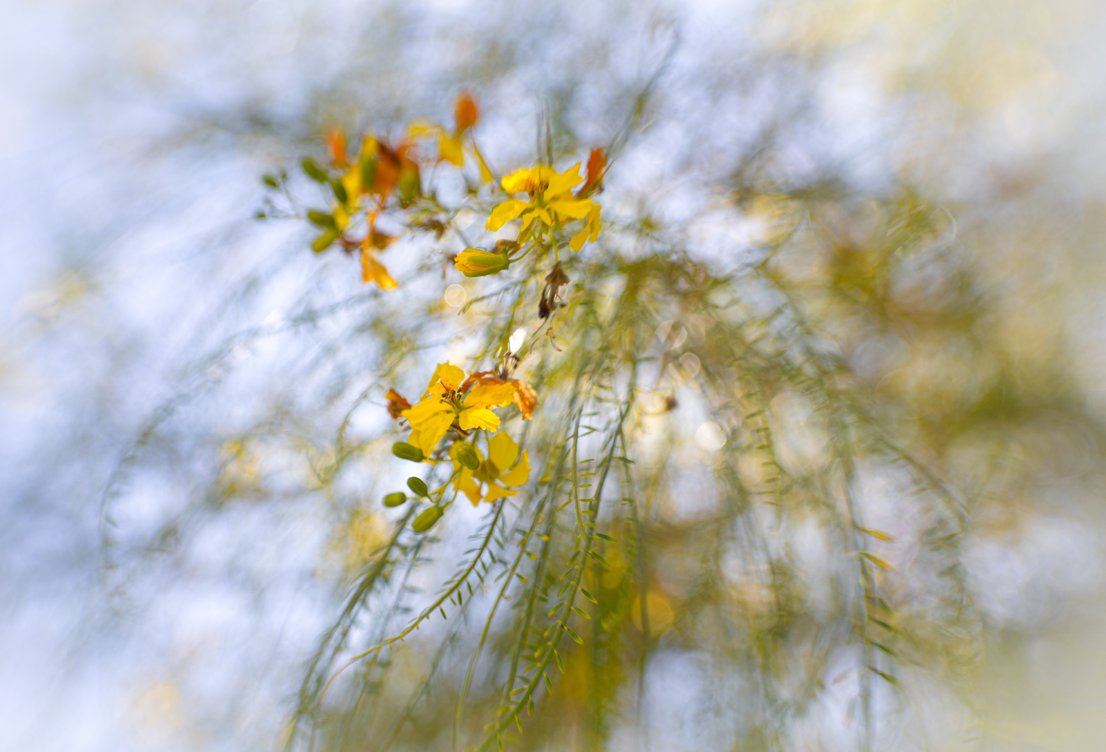 DSC04703-Edit.jpg