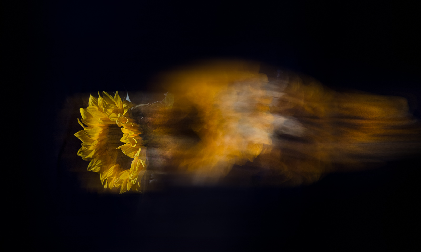 6O5A5354-Edit.jpg